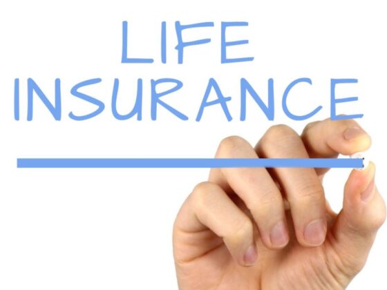 Assurance pour auto entrepreneur : sécurisez votre activité et préservez vos revenus. Découvrez les meilleures options et choisissez la protection qu'il vous faut.