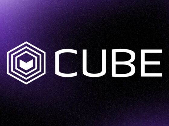 accompagnement startups crypto