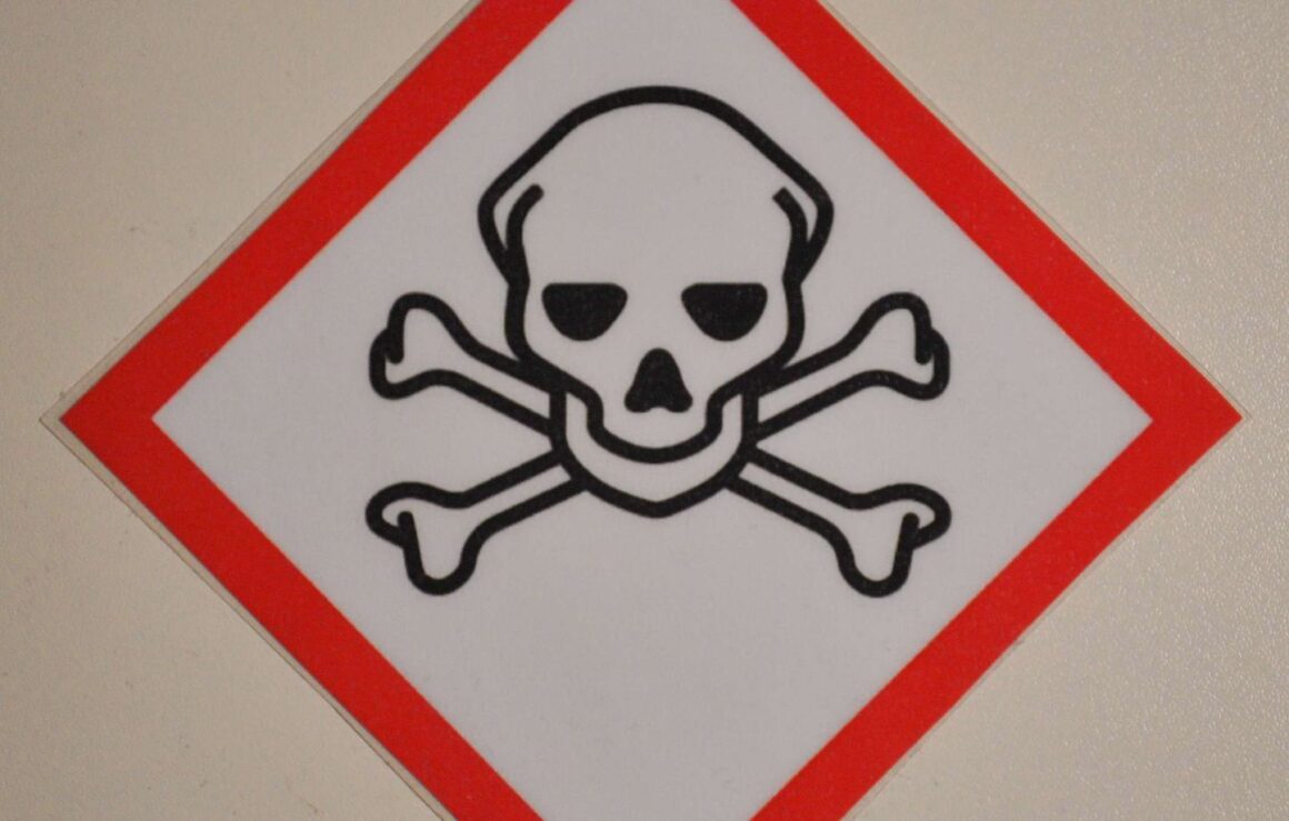 déchets toxiques Moldavie