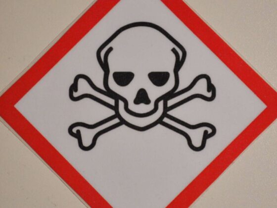 déchets toxiques Moldavie