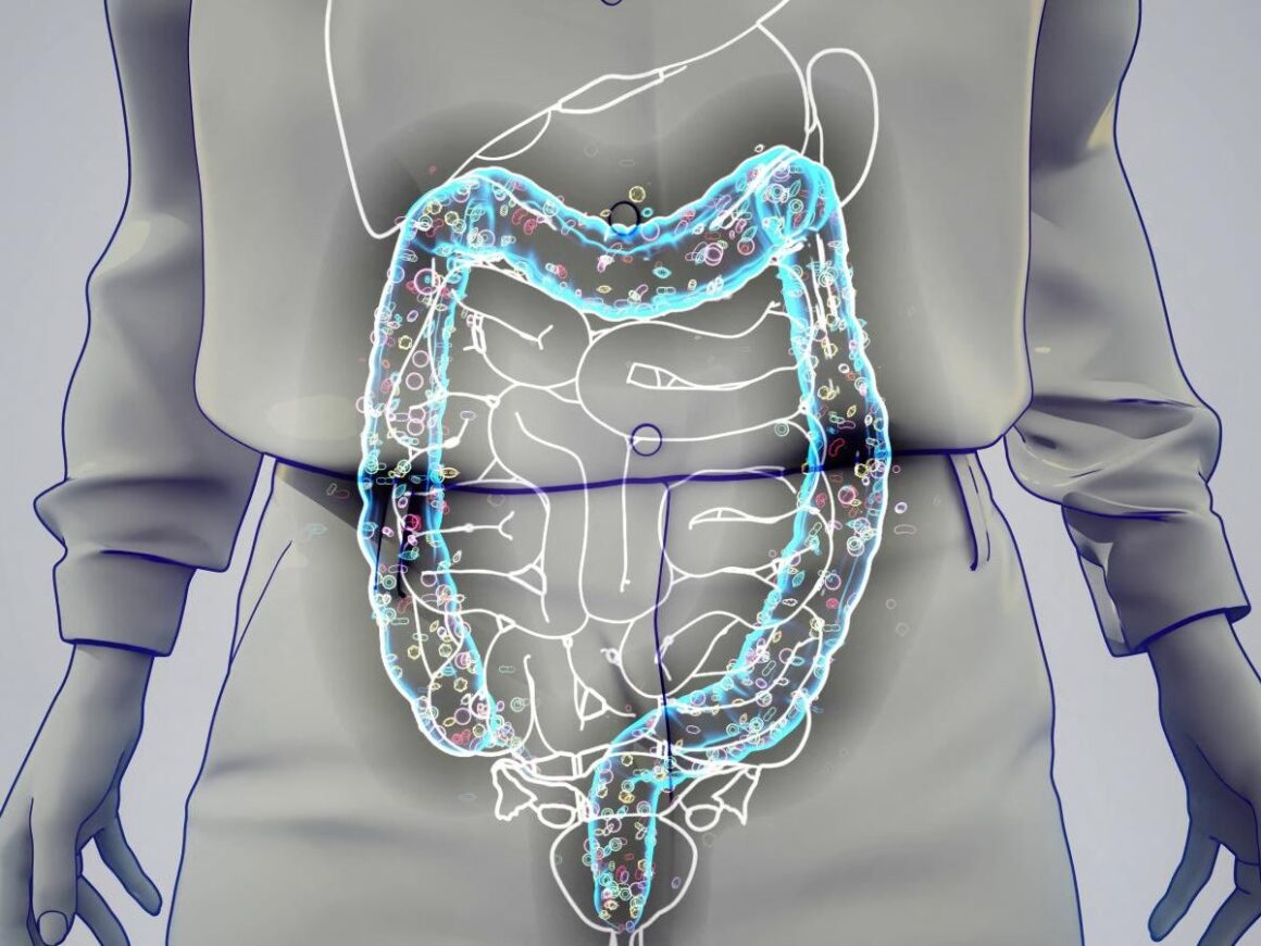 microbiote intestinal