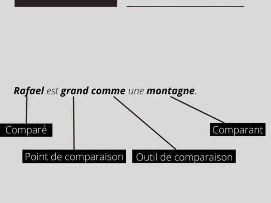 lesfurets assurance auto vous permet de comparer les offres et de faire des économies considérables. Découvrez les meilleures options dès maintenant !