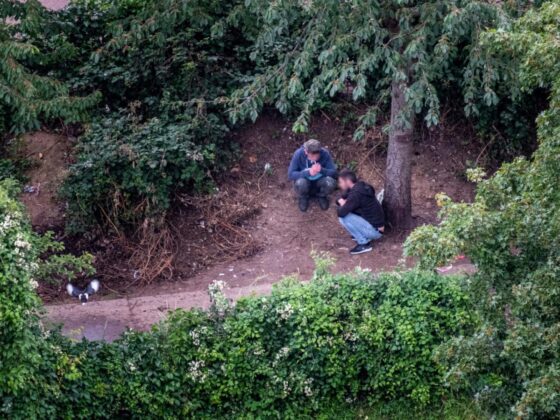 marché des drogues France