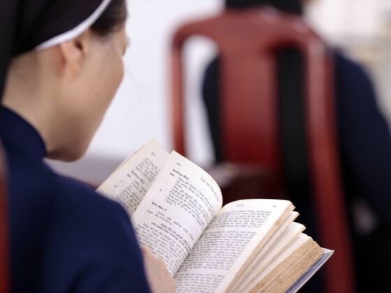 fausses nonnes France