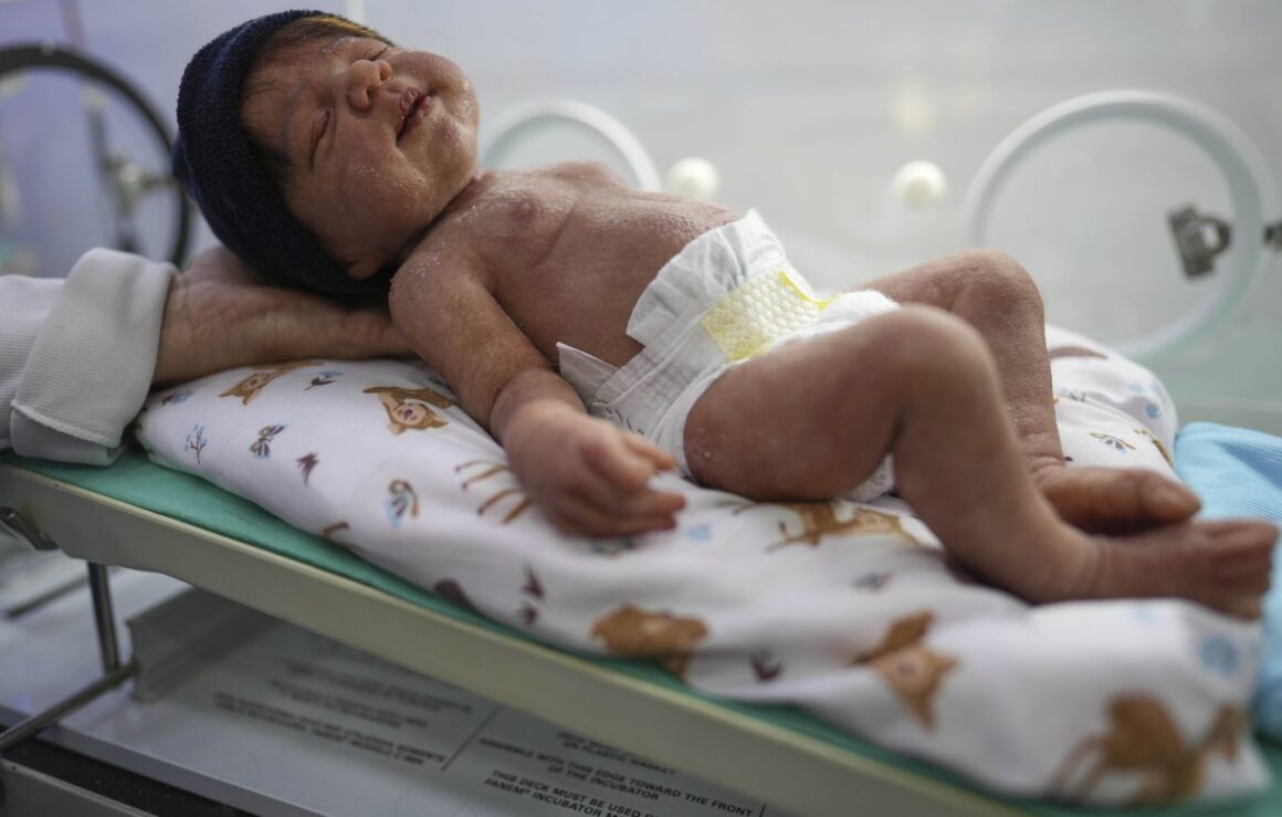 crèche bébés reborn