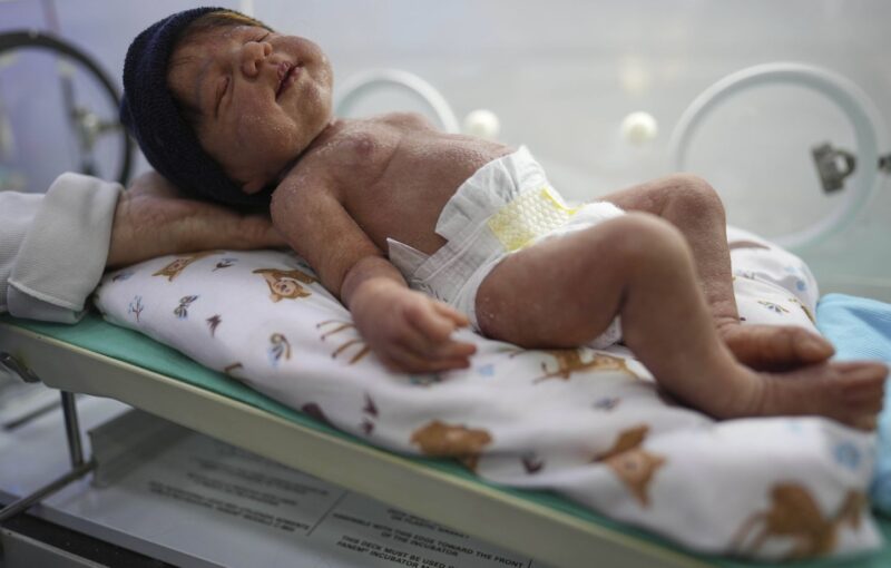 crèche bébés reborn