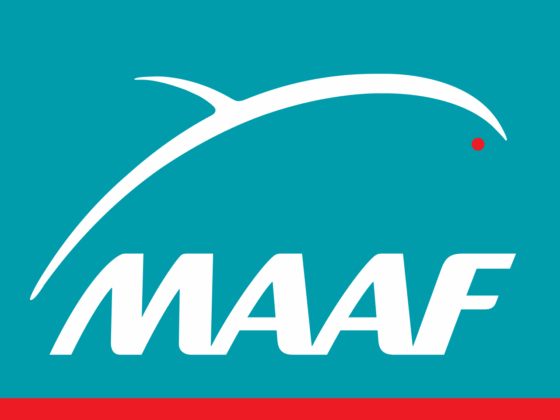 Maaf mutuelle santé avis : découvrez les retours des assurés sur cette couverture santé. Informez-vous et faites le meilleur choix pour votre protection.