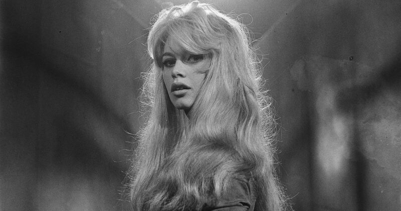 Brigitte Bardot icône