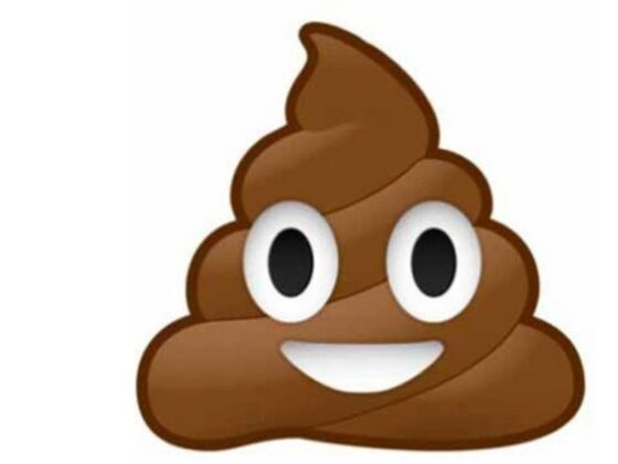 séchoirs à mains excréments