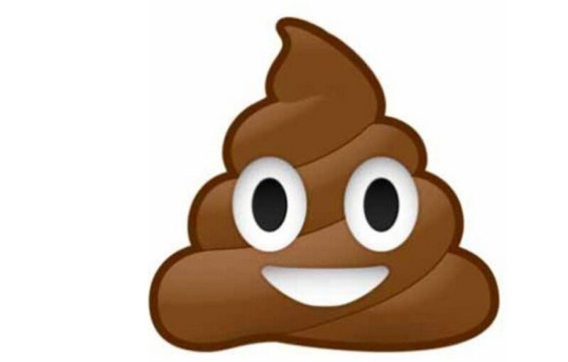 séchoirs à mains excréments