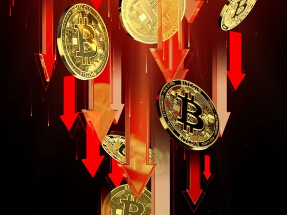 Bitcoin chute 24000 dollars