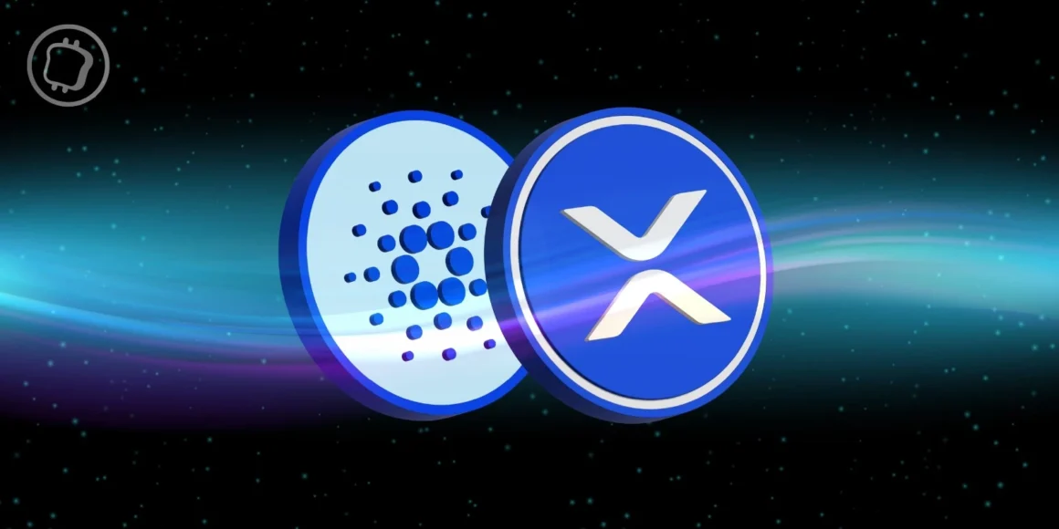 Ripple Cardano danger