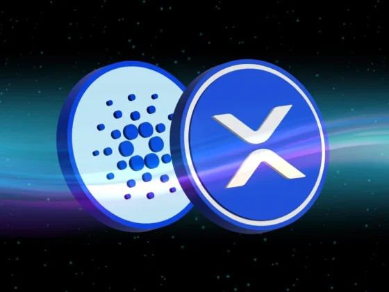 Ripple Cardano danger