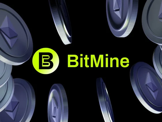 Bitmine entreprise rentable