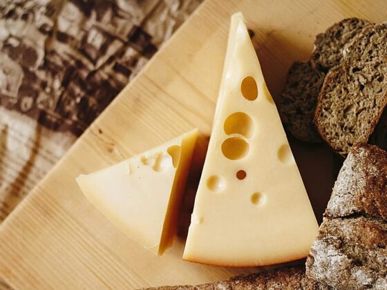 fromage gras cerveau