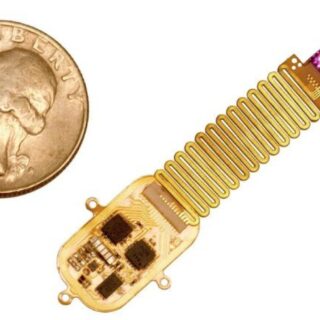 implant lumineux cerveau