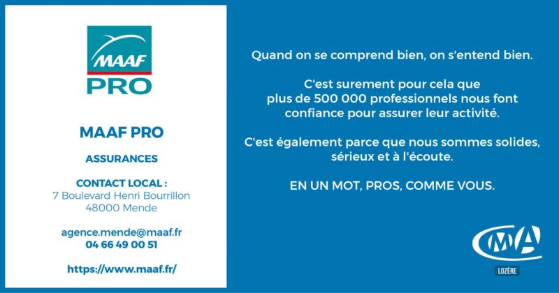 Maaf assurances propose des solutions adaptées à tous vos besoins en matière d'assurance. Découvrez dès maintenant nos offres et sécurisez votre avenir.
