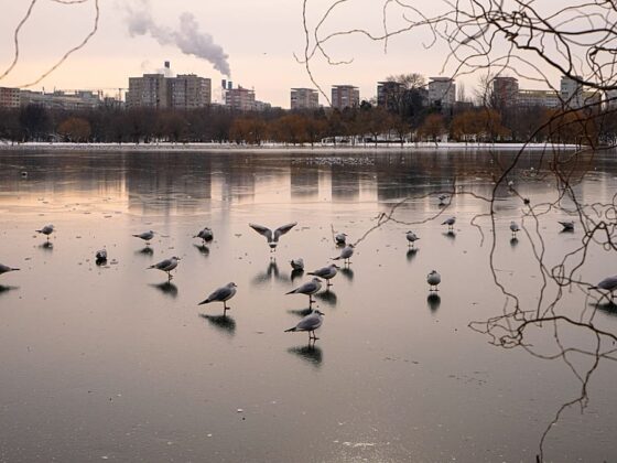 pluie verglaçante Europe