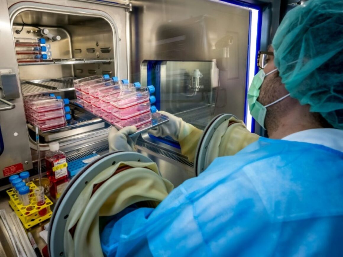 peau artificielle grands brûlés