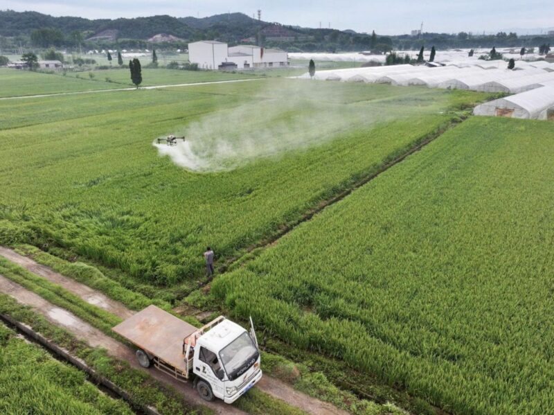 produits chimiques microbiote intestinal