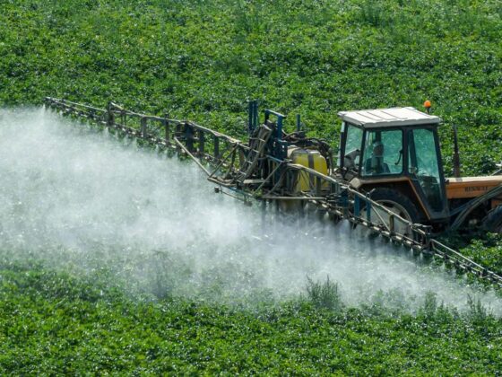 chlorpyrifos vieillissement poissons
