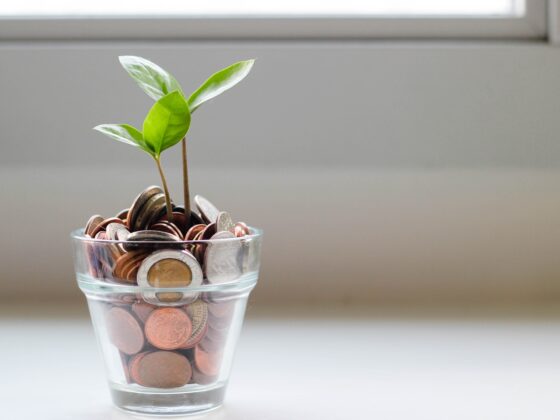 Tetris assurance vous permet de protéger efficacement votre avenir financier. Découvrez nos solutions sur mesure et optimisez votre couverture dès aujourd'hui.