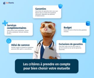 Mutuelle santé moins chère pour réaliser des économies sur vos frais de santé. Comparez les offres et choisissez la protection qui vous convient. Agissez maintenant !
