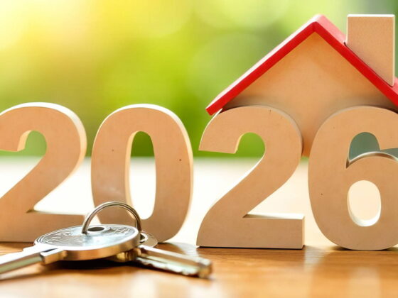 immobilier 2026