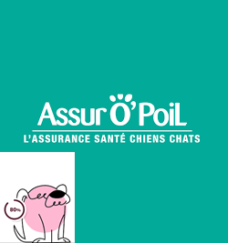 assur opoil est la clé pour sécuriser votre avenir financier. Découvrez comment cette solution innovante peut transformer vos projets. Agissez dès maintenant !