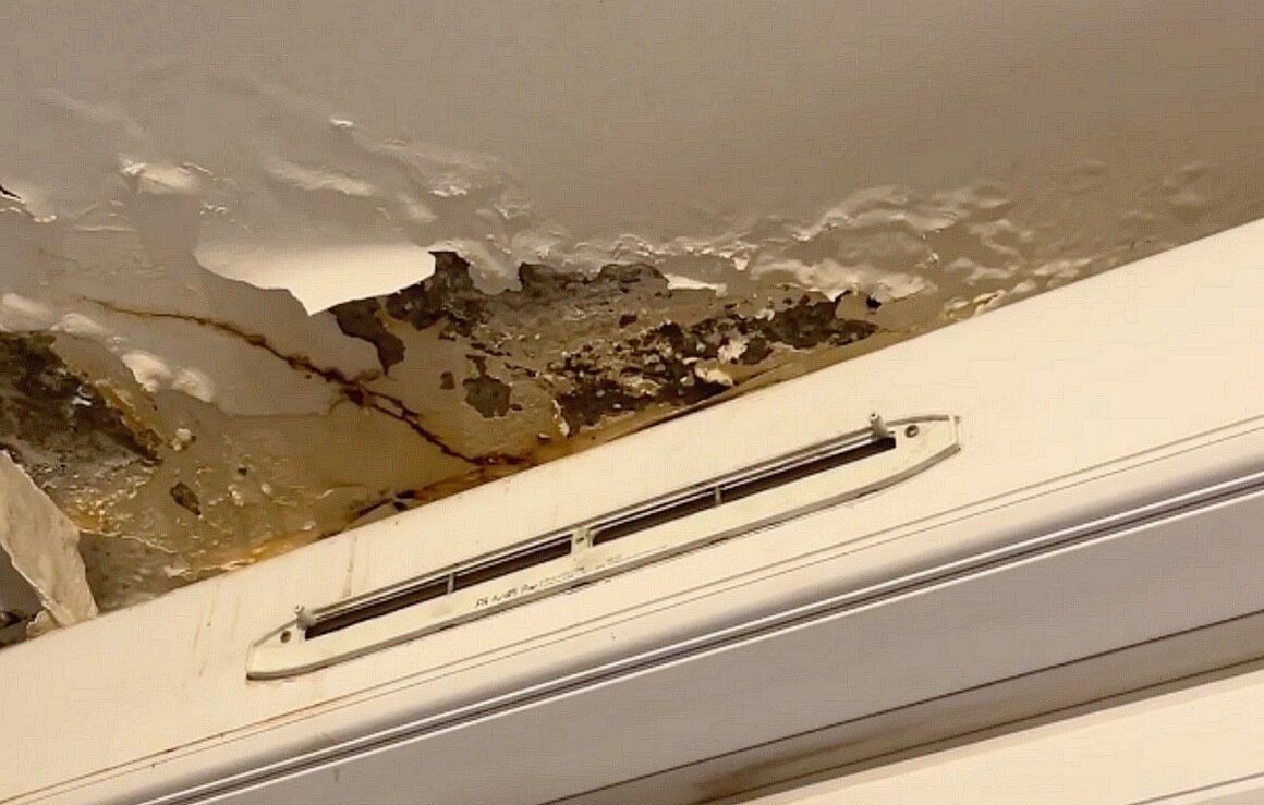 infiltrations logement