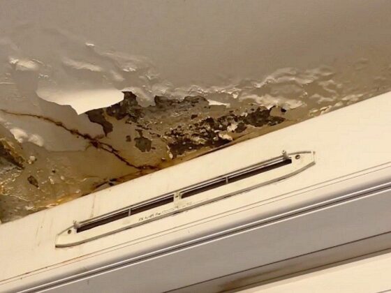 infiltrations logement