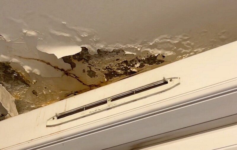 infiltrations logement