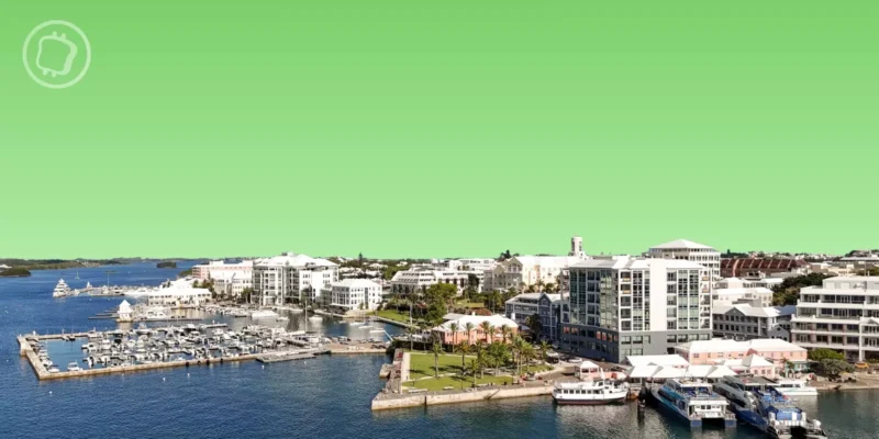 économie on-chain Bermudes