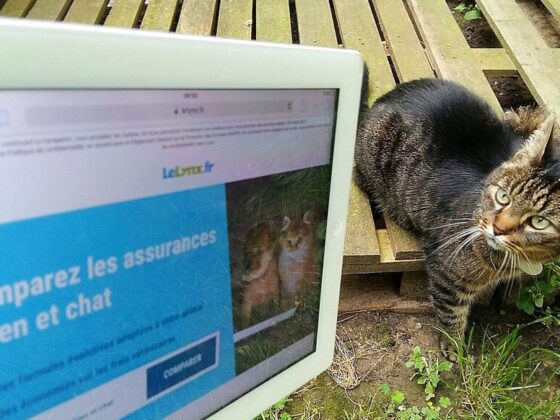 Furet assurance auto vous permet de comparer les offres et de réaliser des économies sur votre contrat. Découvrez les meilleures options dès maintenant !