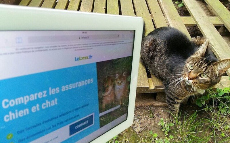 Furet assurance auto vous permet de comparer les offres et de réaliser des économies sur votre contrat. Découvrez les meilleures options dès maintenant !