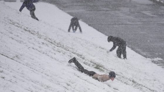 festival d'hiver Japon