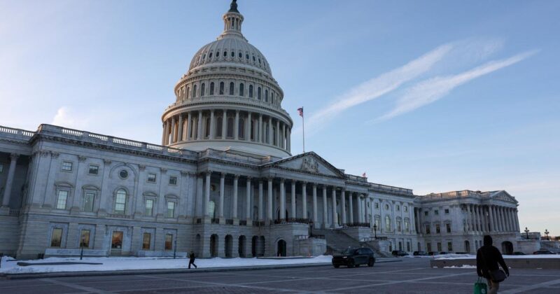 fin des droits de douane