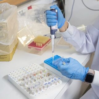 bactéries résistantes antibiotiques