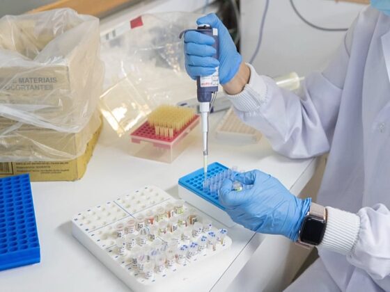 bactéries résistantes antibiotiques