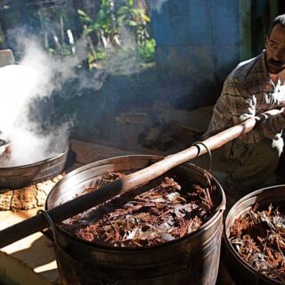 psychédélique dépression