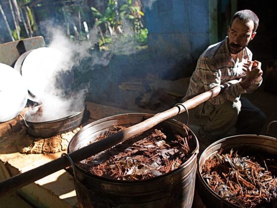 psychédélique dépression