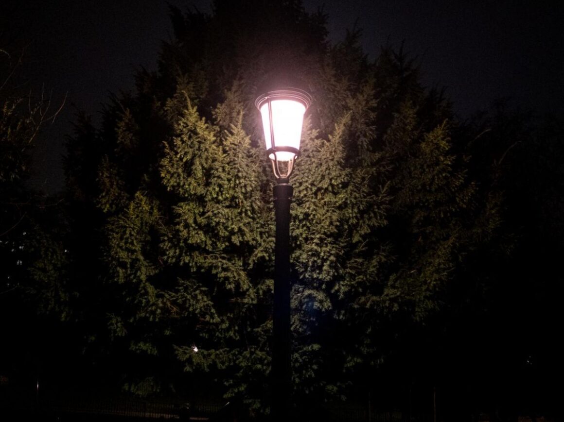 éclairage urbain allergies