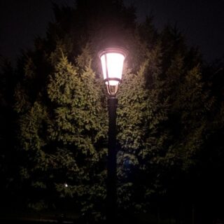 éclairage urbain allergies