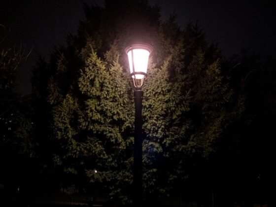 éclairage urbain allergies