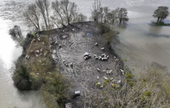 protection animaux inondations