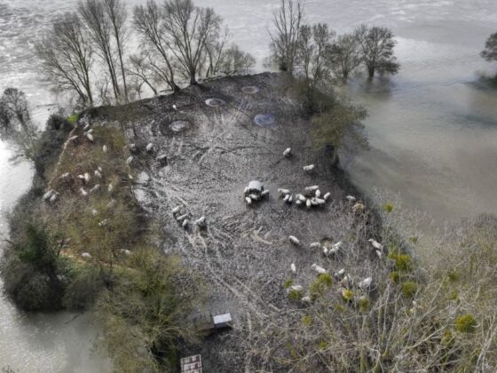 protection animaux inondations