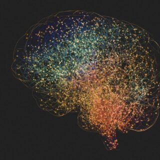 prise de sang Alzheimer