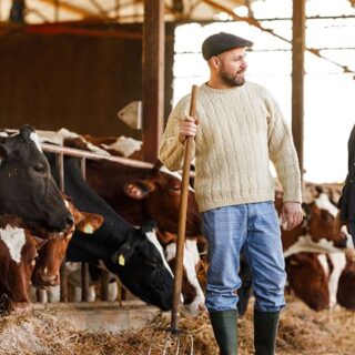 Mutuelle santé agricole : assurez votre bien-être au travail avec une couverture adaptée. Découvrez nos solutions et protégez votre santé dès aujourd'hui.