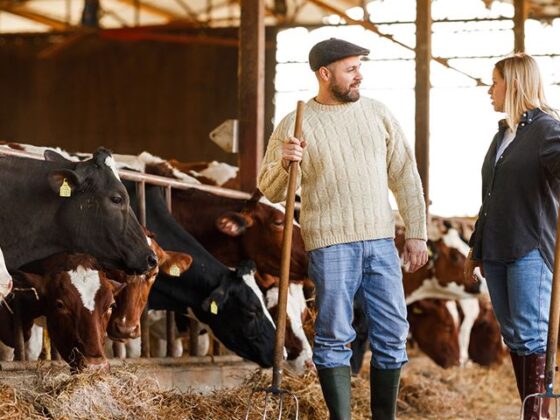 Mutuelle santé agricole : assurez votre bien-être au travail avec une couverture adaptée. Découvrez nos solutions et protégez votre santé dès aujourd'hui.