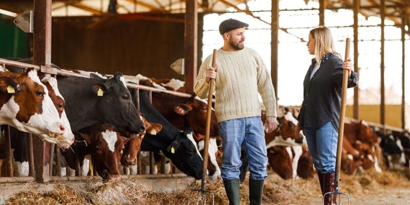 Mutuelle santé agricole : assurez votre bien-être au travail avec une couverture adaptée. Découvrez nos solutions et protégez votre santé dès aujourd'hui.